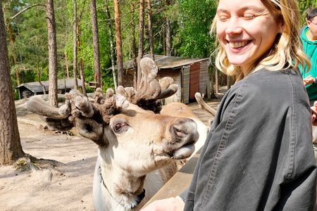 Authentic Reindeer Experience Near Helsinki (VIP)
