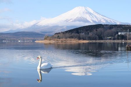 Mt. Fuji Signature 6 Scenic Spots One Day Tour from Tokyo