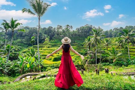 Ultimate Ubud Experience All Inclusive Private Day Tour