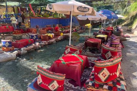 Marrakech: ourika valley day trip lunch and hike to waterfulls 