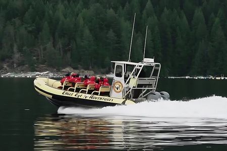 Campbell River, BC: 4 Hour Wildlife Tour Featuring Whale Watching