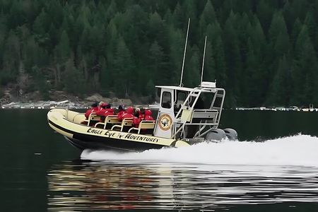 Campbell River, BC: 6 Hour Whale Watching Tour w/ Lunch Included