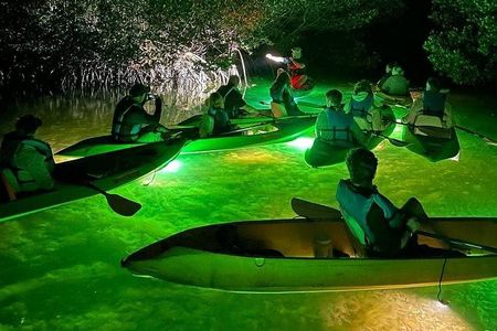 Sharkeys Glass Bottom Fish Feeding LED Night Tour Key West