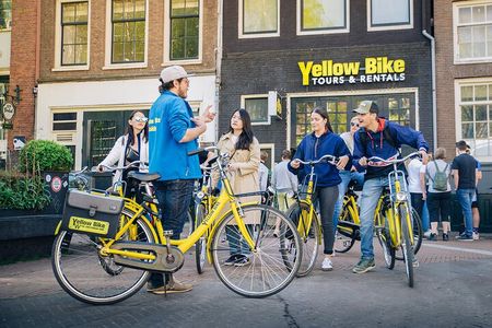 Amsterdam Small-Group Bike Tour