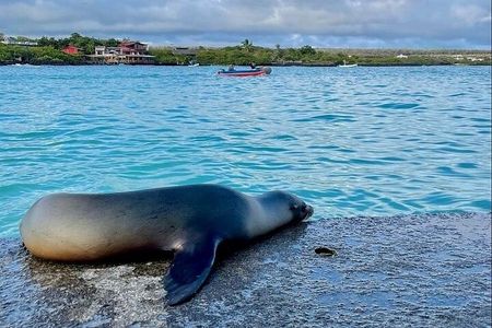 Galapagos Santa Cruz 4 Days Adventure