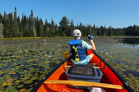 Algonquin Park Luxury 3-Day Camping & Canoeing: Moose/Beaver/Turtle Adventure