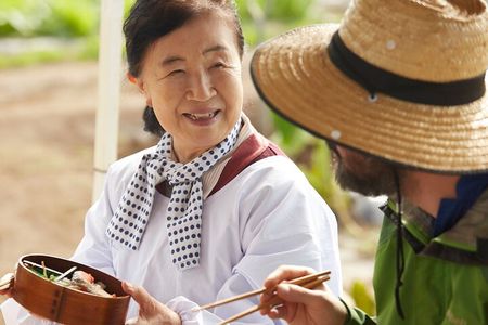 Home Cooking with a Local Host (Optional Shiba Inu Picnic)