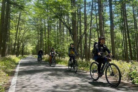 Nikko: Kegon Falls & Lake Chuzenji 3-Hour E-Bike Tour