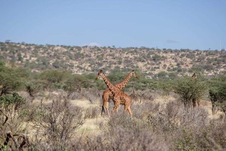 Two-Day Amboseli National Park Private Jeep Tour