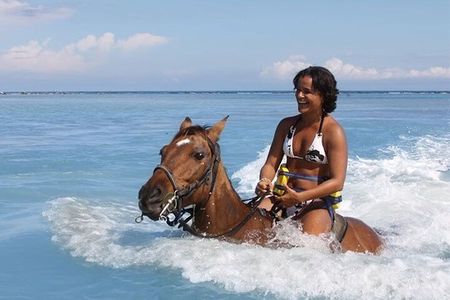 Horseback Ride/Swim and Blue Hole Falls Tour