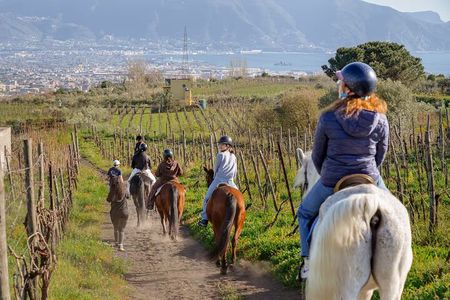 Horseback Riding on Vesuvius