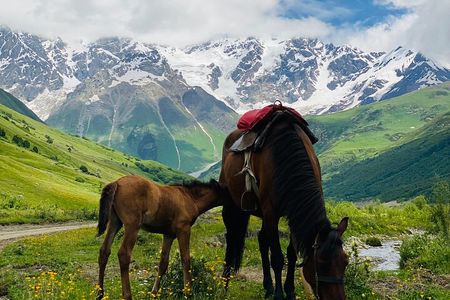 Hidden Gem With Salou Near Tbilisi