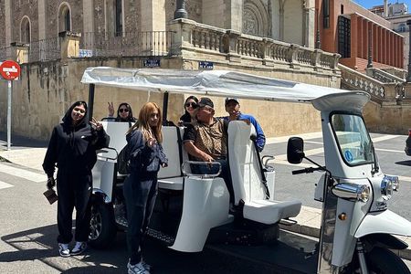 2 Hour Madrid City Expert Tour 