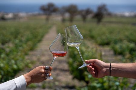 Volcanic Elegance- 2 Winery Tour with Wine Tastings & snacks
