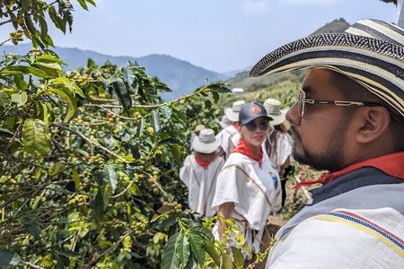 Horseback Riding Tour and Coffee Tour with Lunch and Refreshment