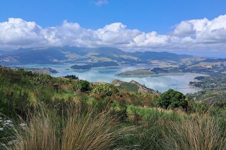 Christchurch Highlights Tour (Full Day Private)