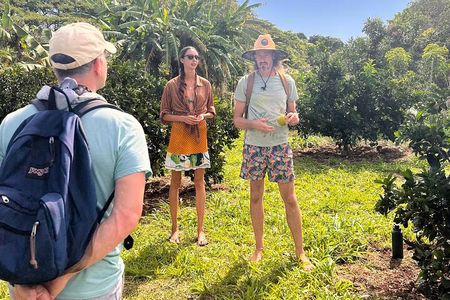 Pick and Taste Tropical Fruit