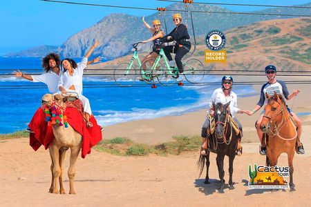 Sky Bike Free Camel Ride and Horseback Riding