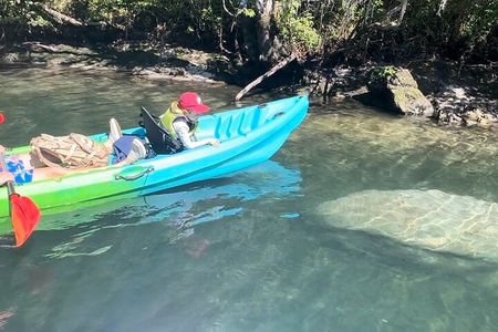 Crystal River: Tandem Kayak Rental to Three Sisters Springs