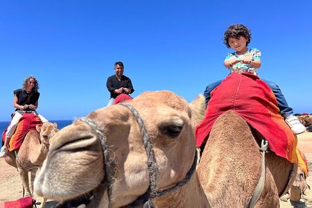 Tangier: Luxury tour from Medina mystique to ocean Views