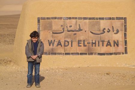 Private Tour To Fayoum Oasis and Wadi Al Rian From Cairo