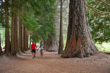Bariloche: Boat Trip to Victoria Island and the Arrayanes Forest