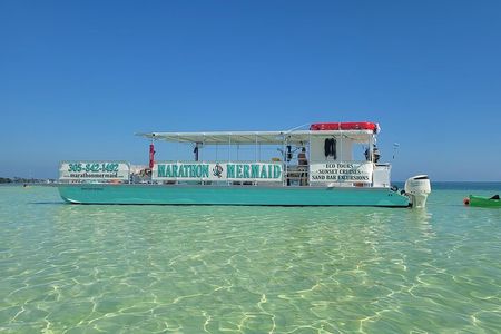 Sandbar Adventure