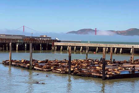 Fisherman’s Wharf Highlights Tour + Golden Gate Bay Voyage