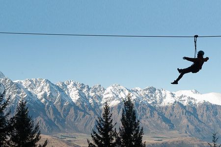 Zip and Sip Ziplining and Wine Tour Combo