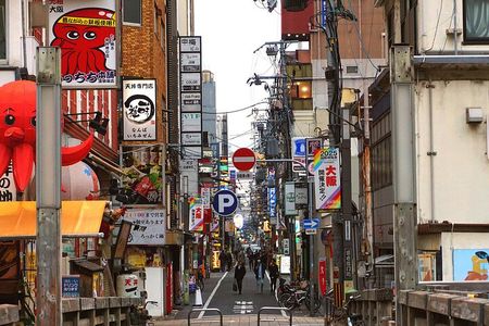 Osaka City Cherry Blossom Private Sightseeing Tour