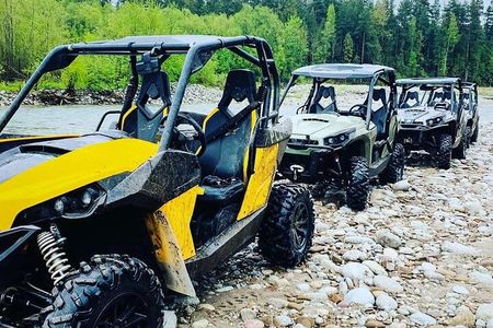 Zakopane Buggy Adventure: Off‑Road, Mountain Views & Bonfire