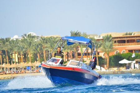 Swim with Dolphins Semi Private Speedboat Sea Tour - Hurghada