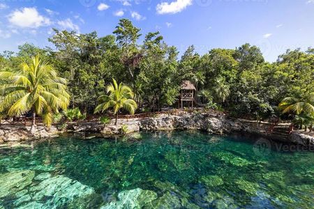 Cenotes Casa Tortuga: 5 Cenotes Day Pass