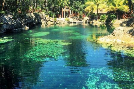Cenotes Casa Tortuga: 5 Cenotes Day Pass