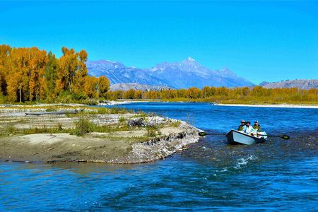Full Day Guided Fly Fishing Trip From Jackson Hole
