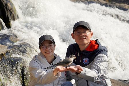 Cameron Falls Hiking Tour from Yellowknife