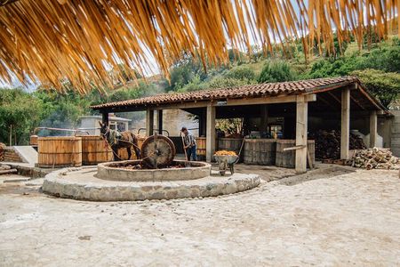 Tour Mezcalero with the best selling brand in Oaxaca