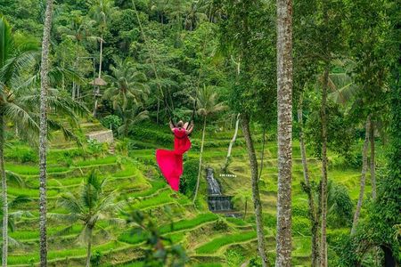 Best Of Ubud Private Tour with Optional Multitype Language Guide 