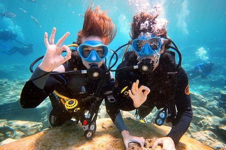 Discover Scuba Diving for Beginners