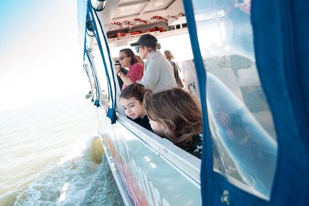 Dolphin and Wildlife Adventure of St. Augustine