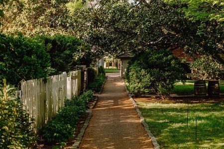 Belle Meade Guided Mansion Tour with Complimentary Wine Tasting