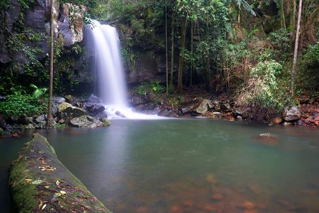Glow Worms - Nocturnal Rainforest/Waterfall Adventure