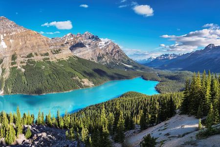 Luxury Private Tour of Lake Louise, Moraine, Peyto & Banff