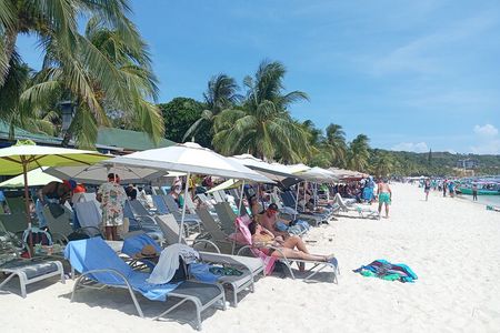 Roatan Monkey Sloth with chocolate and Rum sample Beach.