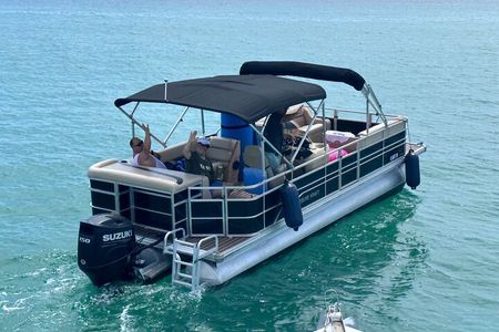 2 Hour Private Dolphin and Sightseeing Tour Shell Island