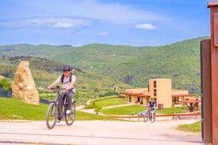 Florence: E-Bike tour to Fiesole with optional Pool or Olive Oil