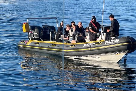 Cape Town Private Dolphin Watching Experience