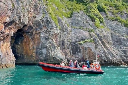 90 Minute Coastal Explorer in Torquay