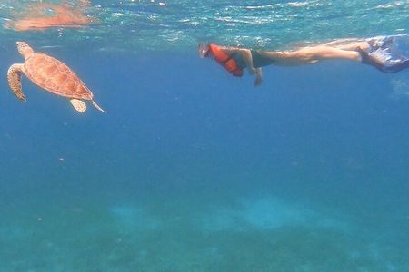 Family Snorkeling Tour