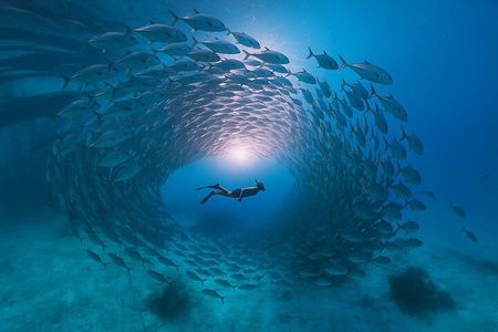 5 Secret Gili Snorkeling & Hoping Island from Gili Gede to Asahan